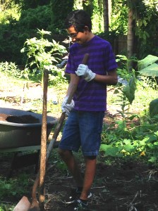 HHS Student Volunteer