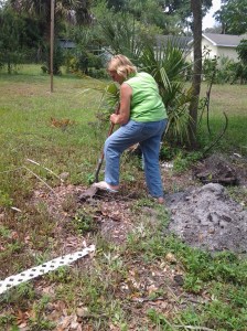 07/05/2014 - Saturday work party at Highland