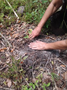 07/05/2014 - Saturday work party at Highland