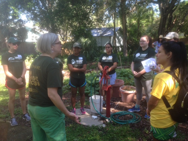 USF volunteers 8.2017